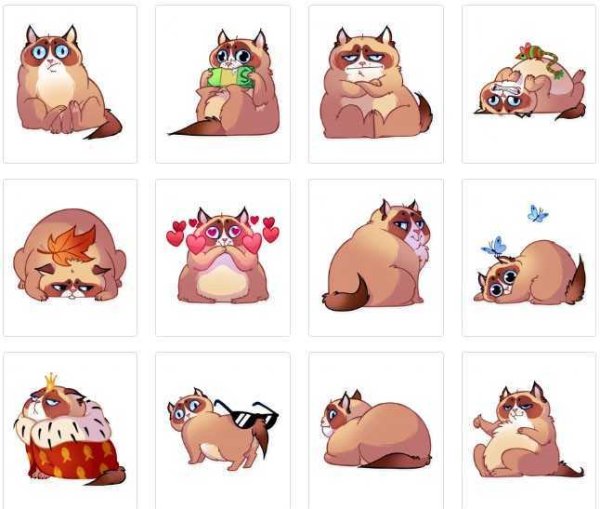 Стикеры телеграмм кот