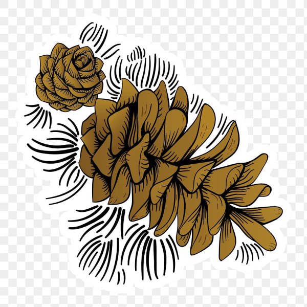 Орнамент шишка