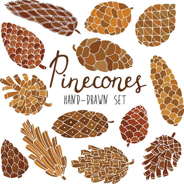 Стилизованная шишка