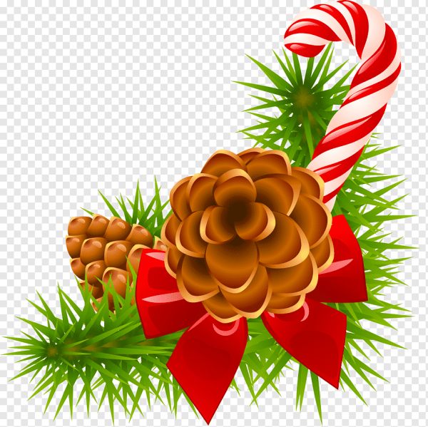 Новогодние шишки на прозрачном фоне