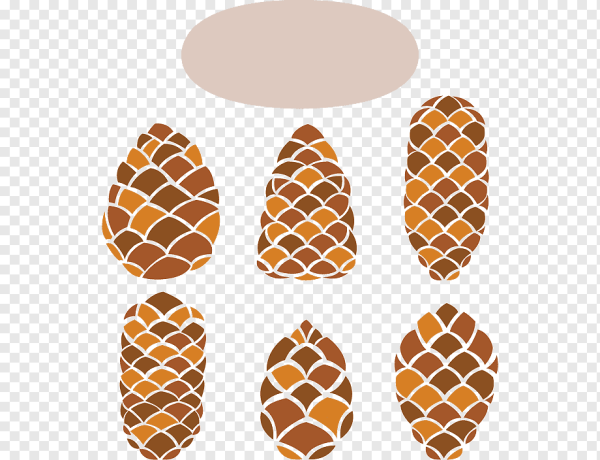 Стилизованное изображение шишки