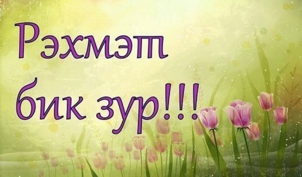 Изге Вэли коне открытки