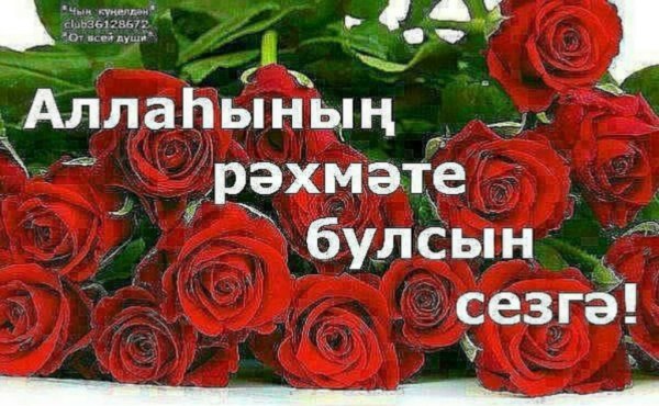 Красивые Стикеры с благодарностью