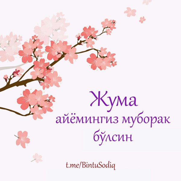 Жума муборак бўлсин