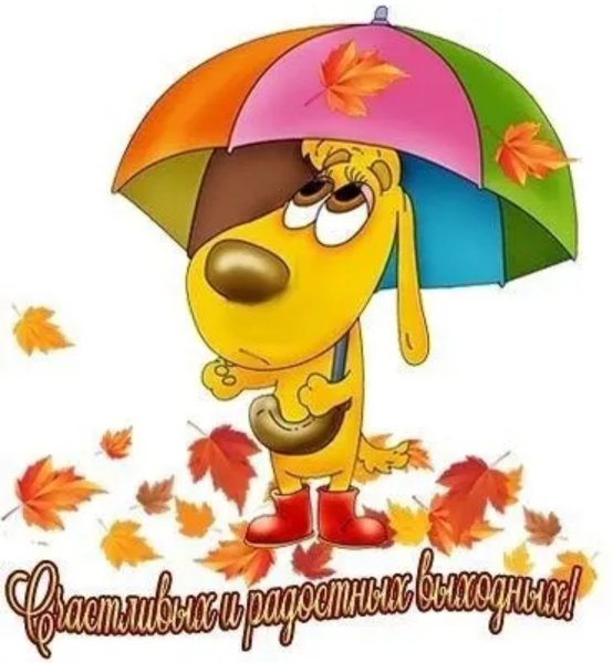 Доброе летнее утро гифки