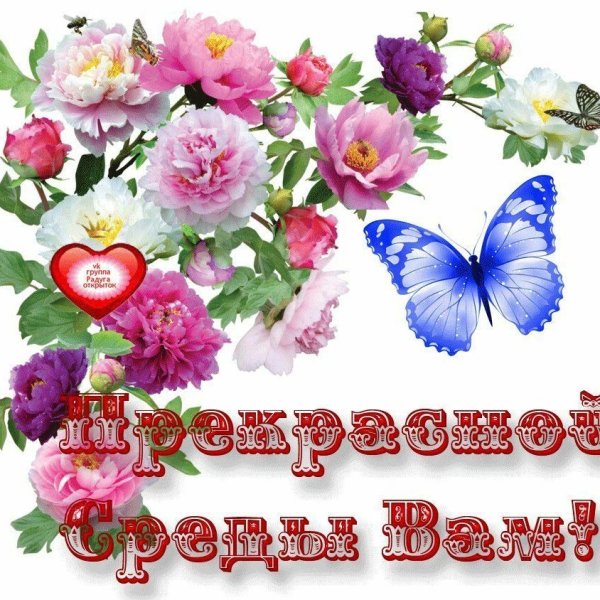 Смайлики добрый день