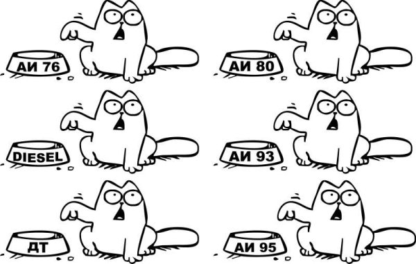 Кот Саймон АИ 95