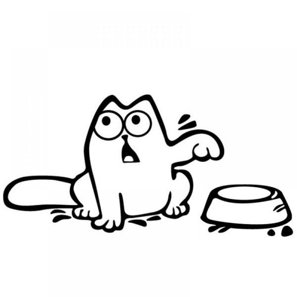 Котик с миской