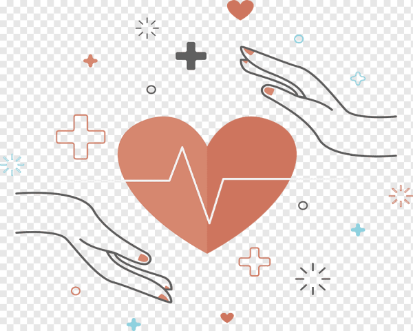 Сердце здоровье вектор