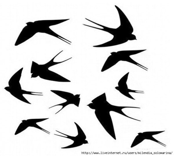 Трафарет Ласточка в полете