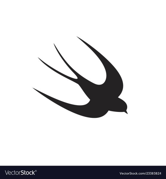 Белая Ласточка на черном фоне