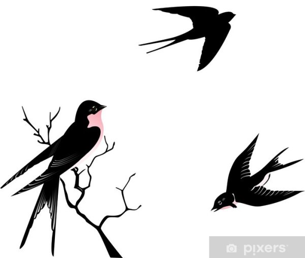Трафарет ласточки на ветке