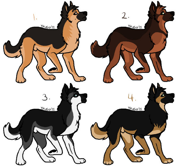 Немецкая овчарка реферанс