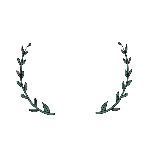 Лавров дебилы