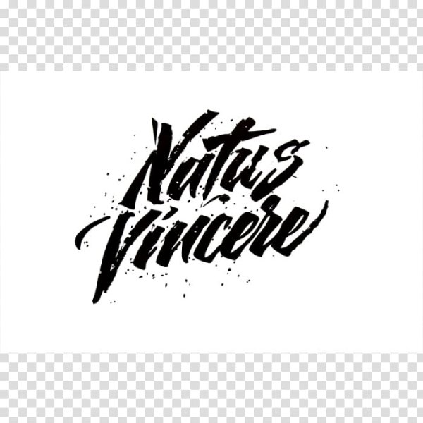 Мажор КС го 2022