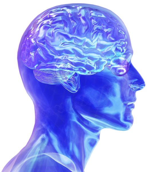 Светящийся мозг Мем