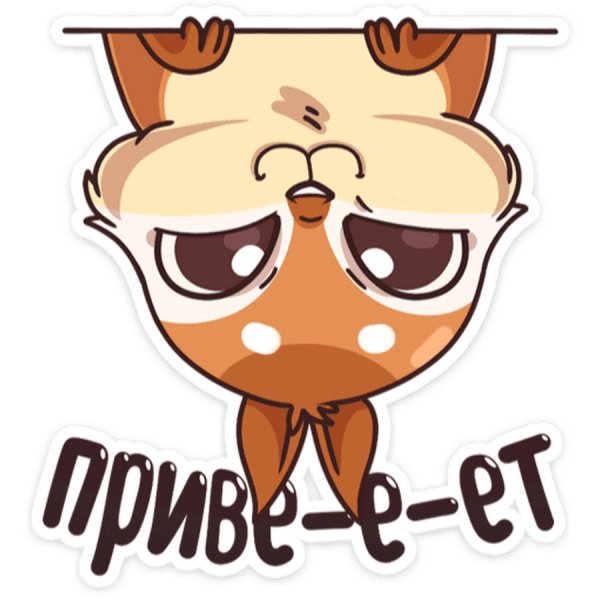 Герои мультика про львенка и черепаху