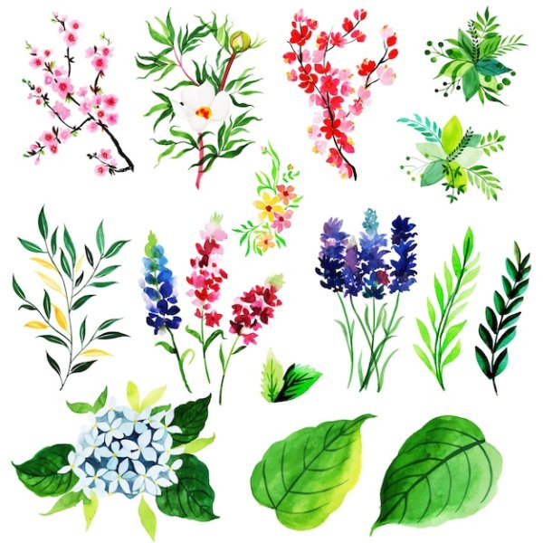 Весенние цветы в разных стилях рисунок