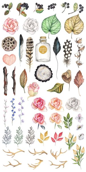 Ботанические наклейки