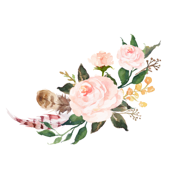 Роза акварель на белом фоне