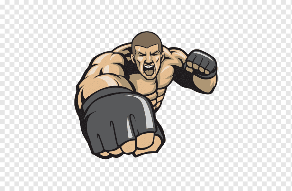 Векторные бойцы