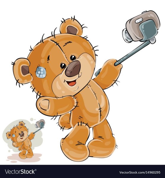 Медведь с фотоаппаратом