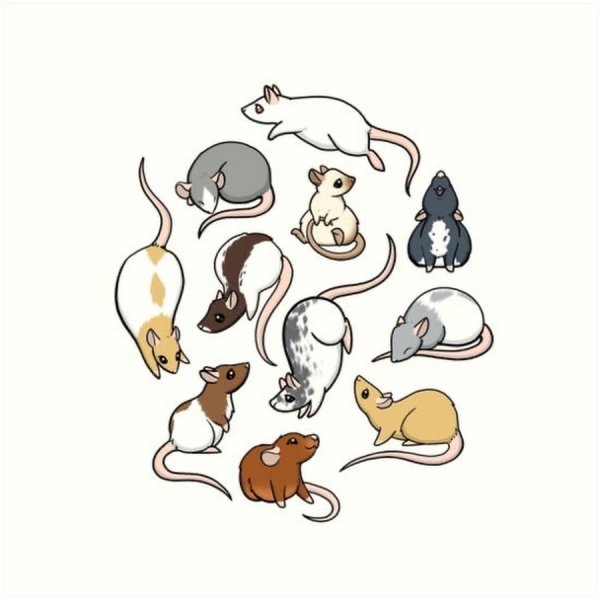 Наклейки крысы