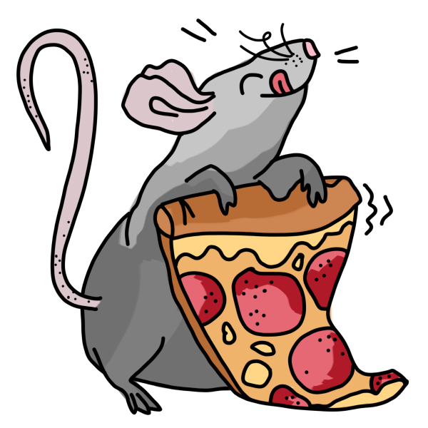 Крыса стикер