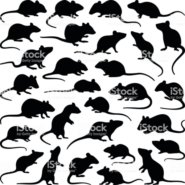 Крыса силуэт