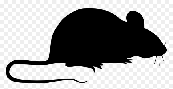 Крыса силуэт