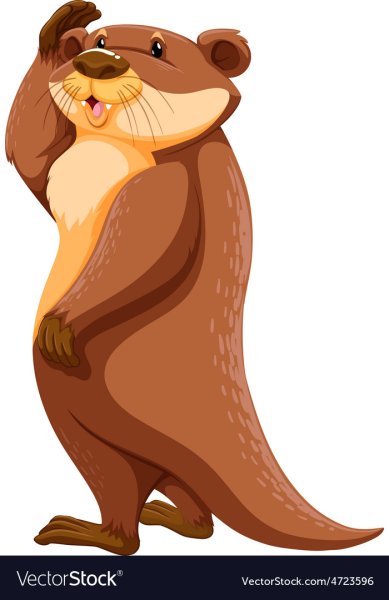 Выдра на белом фоне