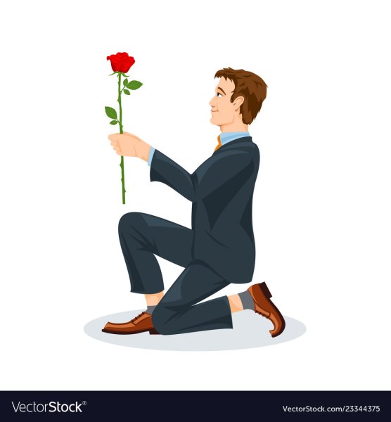 Парень на коленях дарит цветы