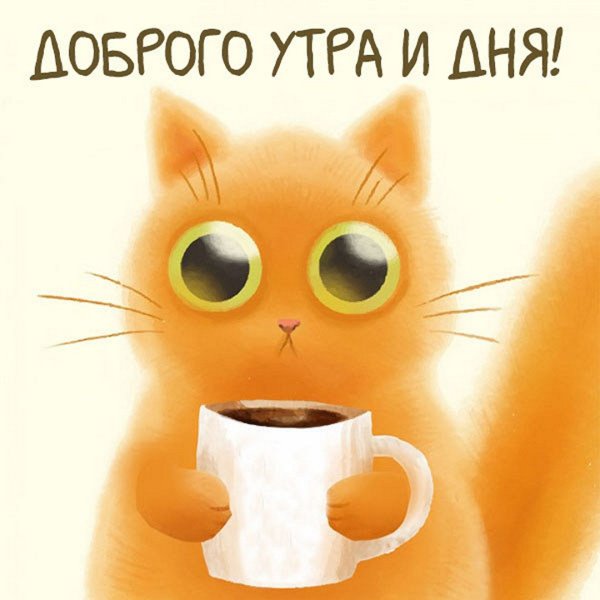 Лиса Симпл кофе