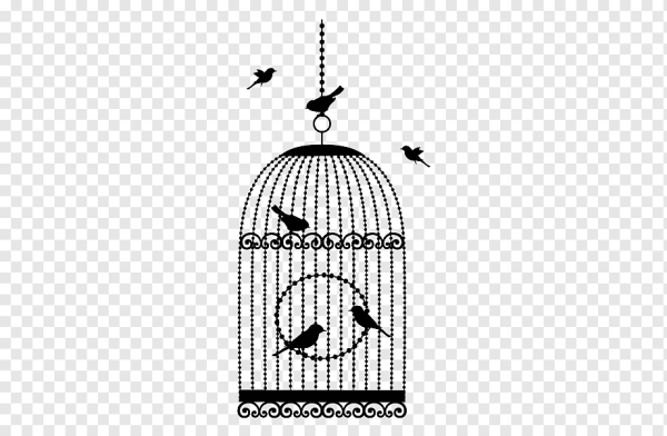 Птичка в клетке карандашом