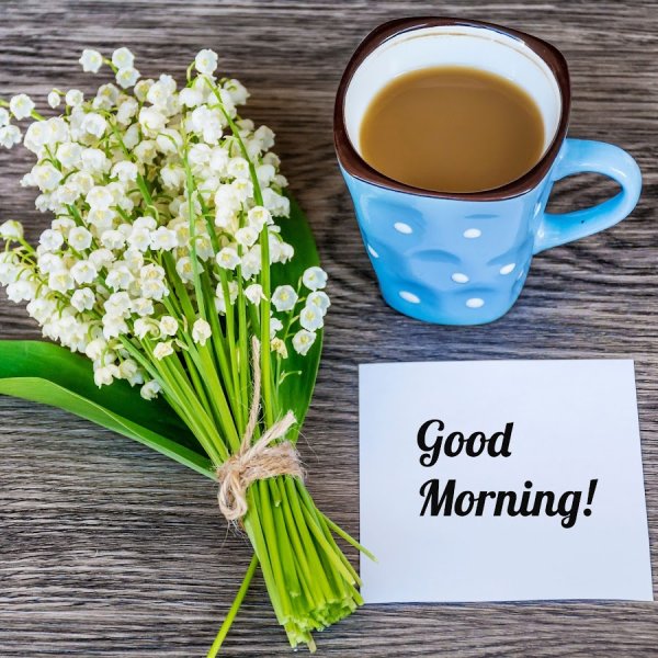 Доброго дня с птичками