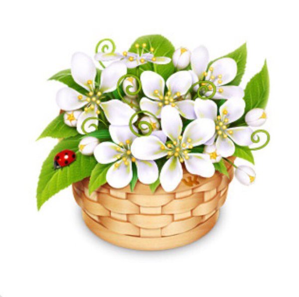 Цветы с именем Аллаха