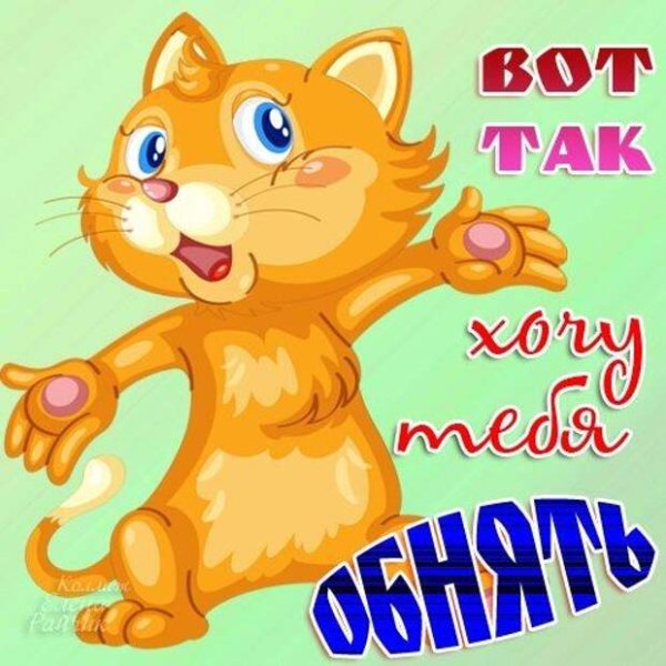 Стикеры мишки белый и коричневый