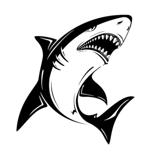 Акула вектор