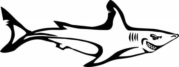 Черная акула наклейка