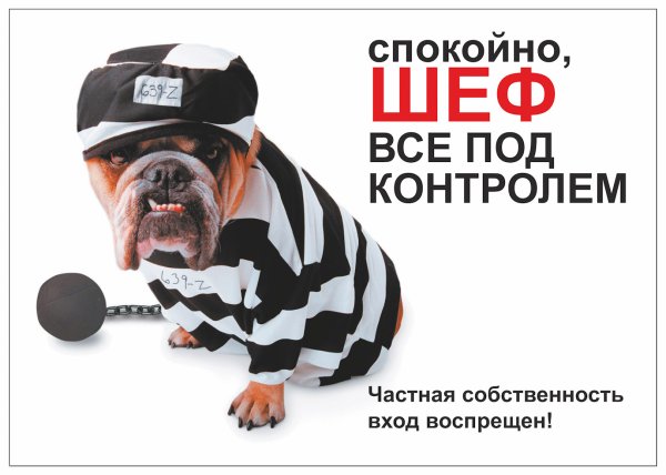 Спокойно шеф всё под контролем