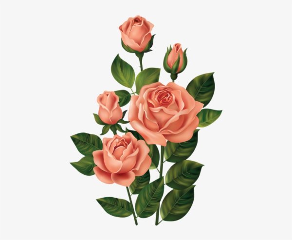 Стикеры с цветами