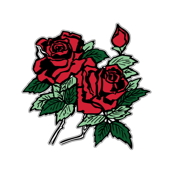 Роза вектор