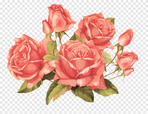 Vintage Винтейдж роза