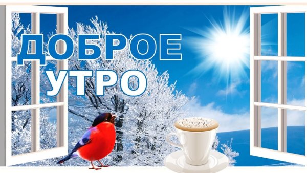 Совенок в шапке Деда Мороза