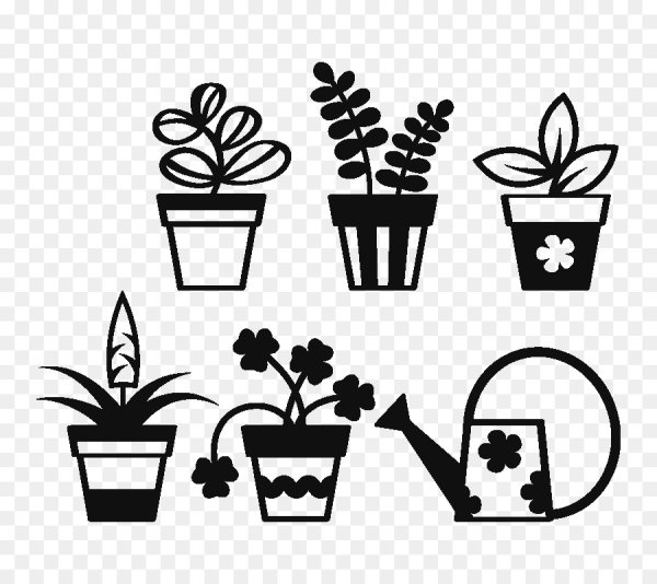 Цветы в горшках