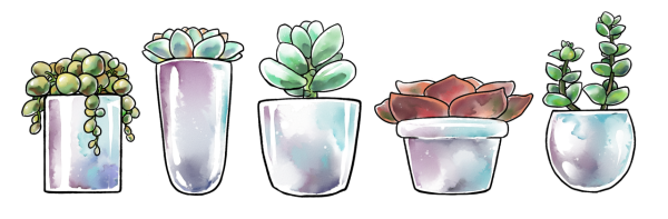 Суккуленты рисунок
