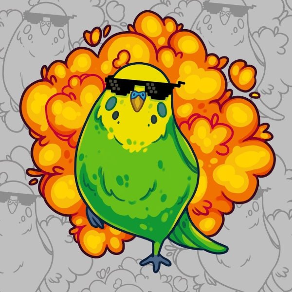 Стикеры попугай