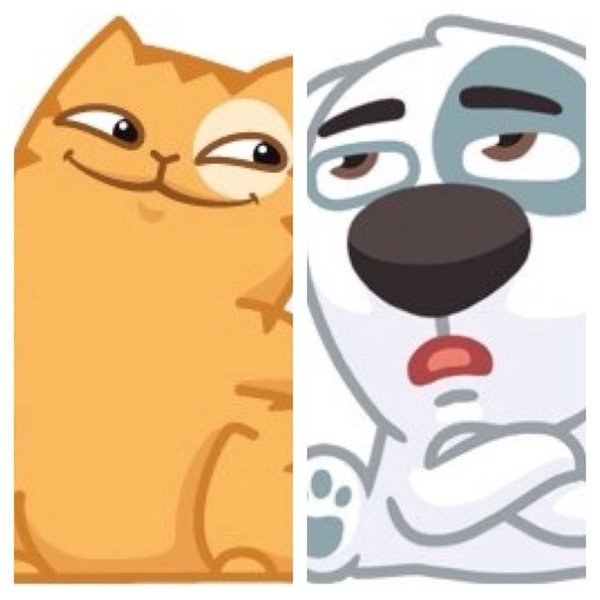 Спотти и кот