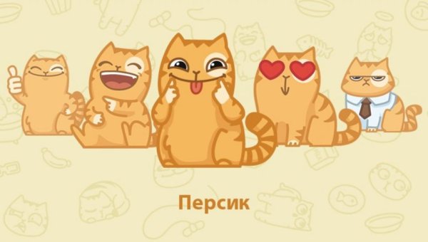 Кот персик и пес Спотти