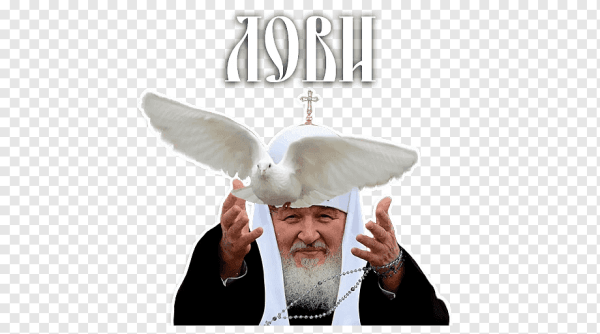 Патриарх Кирилл божественно